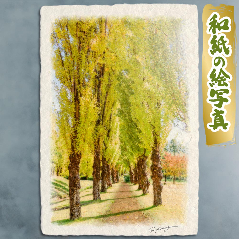 玄関に飾ると運気が上がる絵画 和紙の絵写真 「黄金色に輝くポプラ並木」 風水 絵画 玄関 おすすめ 玄関 絵 開運 金運 インテリア 絵 アートパネル 風景画 おしゃれ 壁掛け トイレに飾る絵 秋 道 木 森|玄関に飾る風水絵画 アートセピア