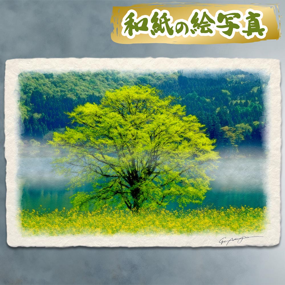 絵画 インテリア絵 額付( 青緑＋金色の枠 )油絵 uF6-062903 風景 Amazon.co.jp: 黒木啓 奥入瀬1 F10号 受注制作 油彩画 油絵