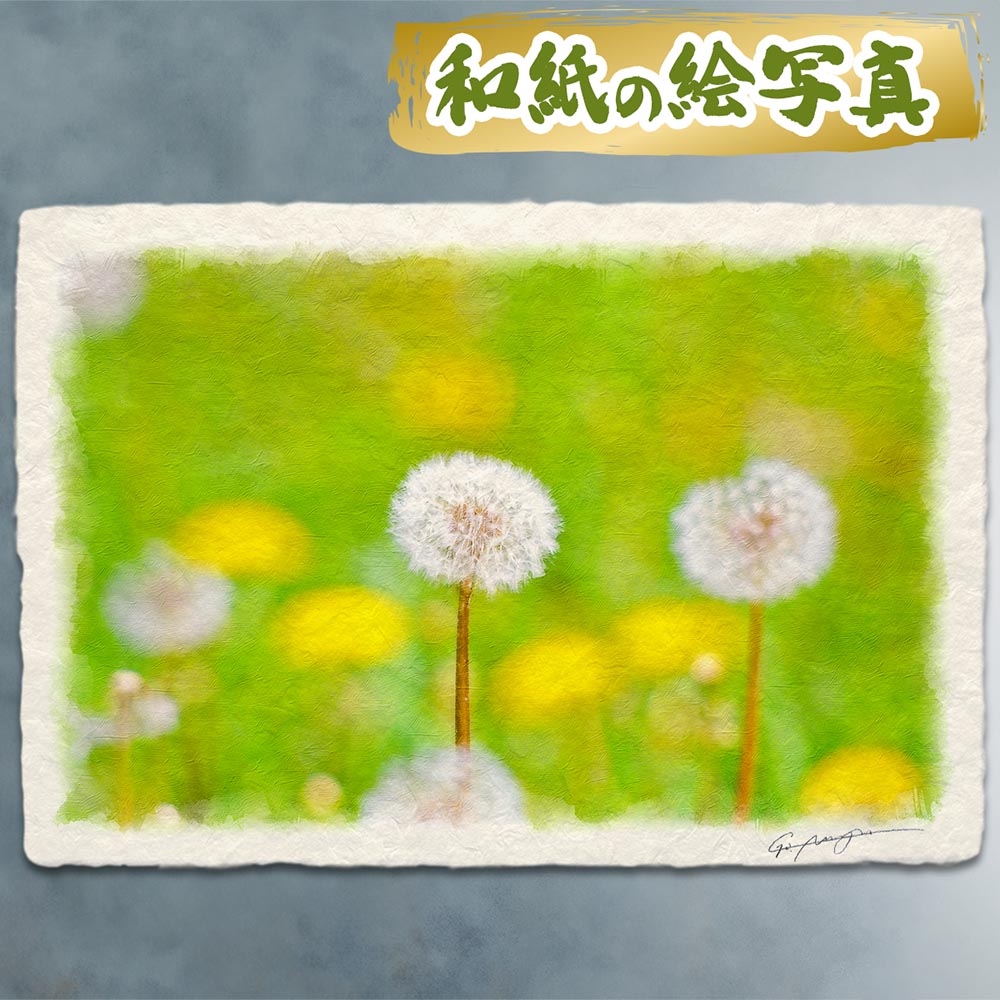 絵 風水 絵画 玄関 おすすめ 運気が上がる絵 インテリア アートパネル 風景画 おしゃれ 開運 金運 トイレ 玄関 に 飾る 絵 画 壁掛け 春 黄色 花の絵 和紙の絵写真 「緑の中の綿毛とタンポポ」