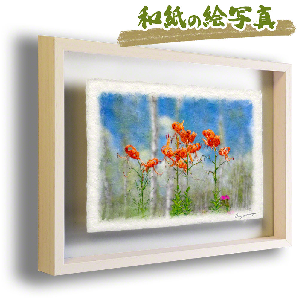 人気上昇中 和紙の絵写真 アートフレーム 53x38cm 夏 花 オレンジ オニユリと入道雲と白樺林 絵画 インテリア おしゃれ 和 アートパネル モダン 玄関 絵 の ポスター 風景 インテリアアートパネル 花の絵
