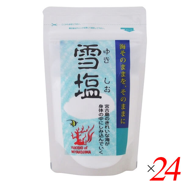 【マラソン限定！ポイント2倍！】雪塩 パウダータイプ 120g 24個セット 宮古島の海水100％ さらさら微粒 粉末タイプ 調味料 海塩