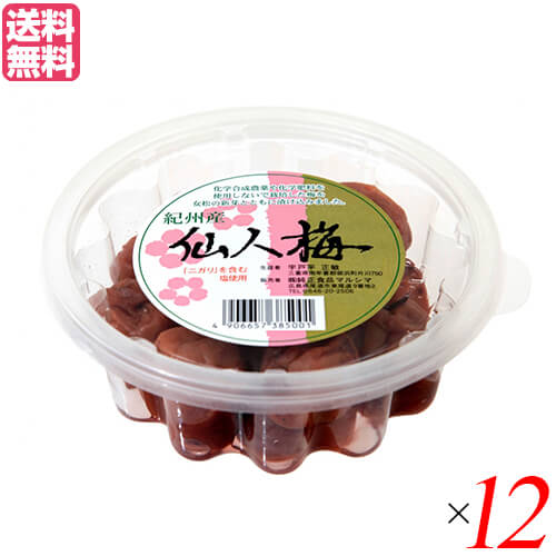 年最新海外 楽天市場 梅干し 梅干 無添加 マルシマ 宇戸平さんの紀州梅干し 仙人梅 0g １２個セット 送料無料 母の日 ギフト プレゼント メンコスジャパン 珍しい Www Lexusoman Com
