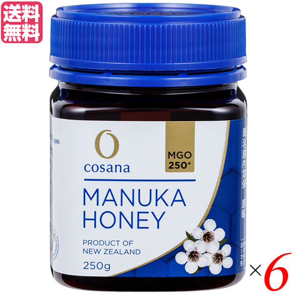 【マラソン限定！100円クーポン】マヌカハニー MGO ニュージーランド コサナ マヌカハニー MGO250+ 250g 6個セット 送料無料