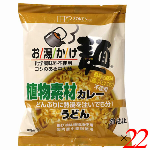 創健社 お湯かけ麺 植物素材カレーうどん 81g 22個セット ヴィーガン ビーガン 中太麺