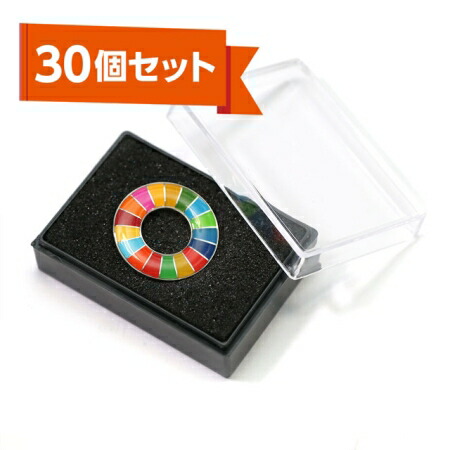 お買い物マラソン！全商品ポイント10倍／＼プラケース入りSDGs ピンバッジ 30個セット　25mm エポキシ加工 ソフトエナメル着色 高級感 国連ガイドライン対応 ケース付