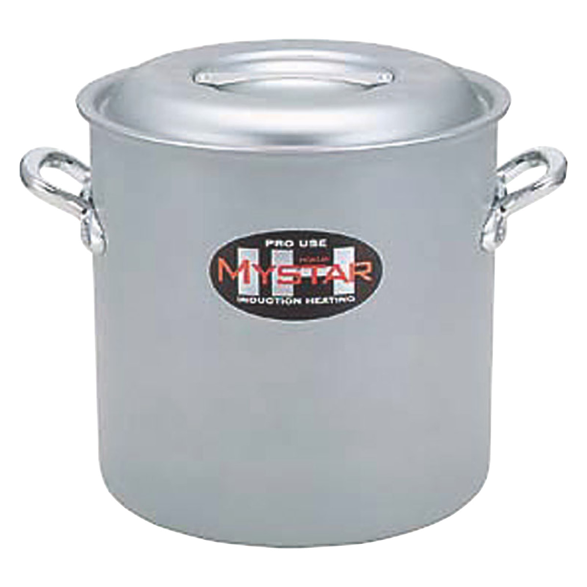 ﾌﾟﾛﾏｲｽﾀｰIH 寸胴鍋 21cm(7.3L)