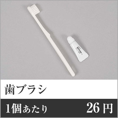 【全品送料無料中】 業務用まとめセット 1個あたり:26円 歯ブラシ(マットOP袋入) TB-001 2000個セット 歯ブラシセット 歯ブラシ 使い捨て 歯ブラシ ホテル 歯ブラシ トラベル 歯ブラシ 袋入り 歯ブラシ まとめ買|メニューブックの達人店