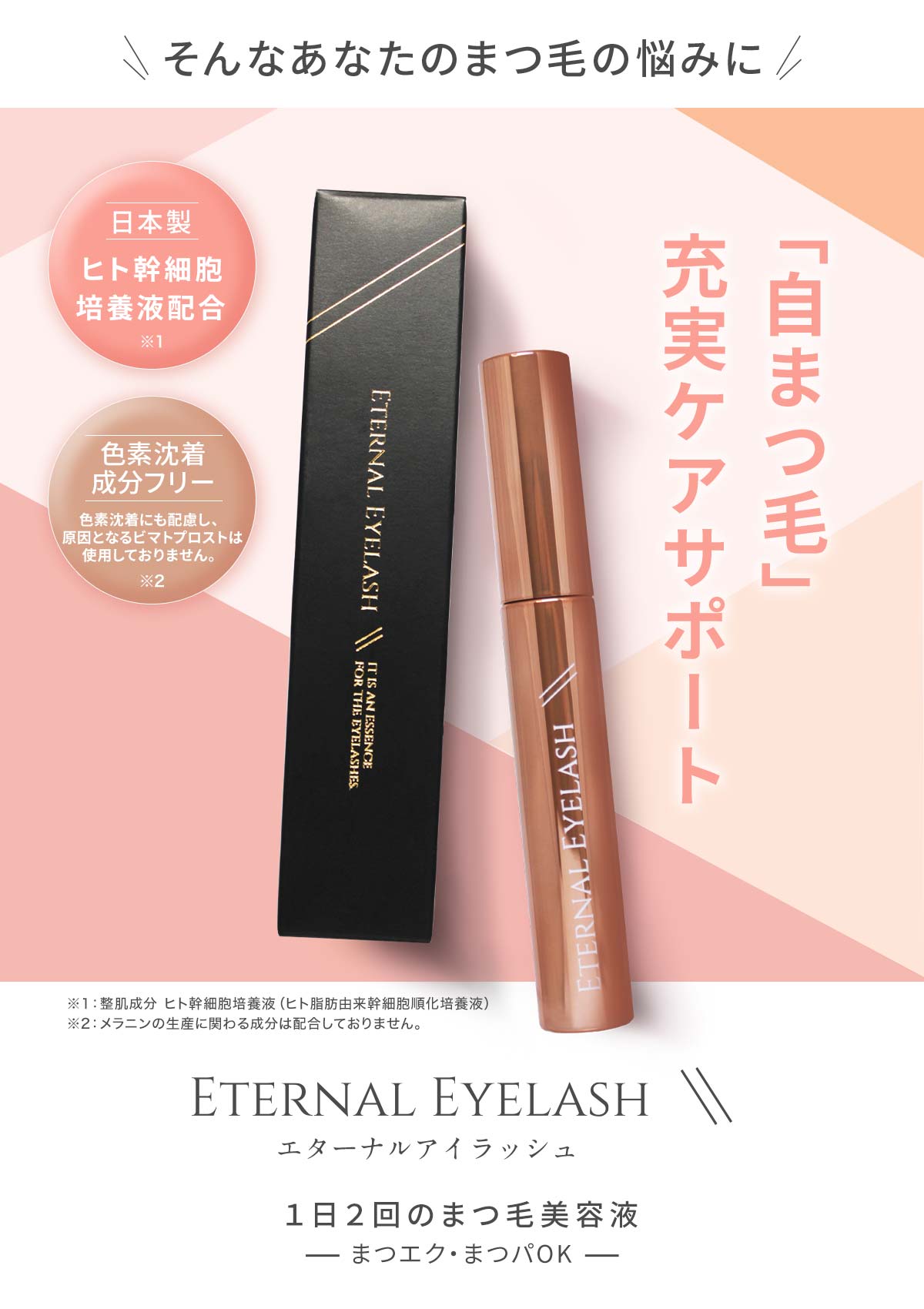 本ズワイガニ 返礼品③