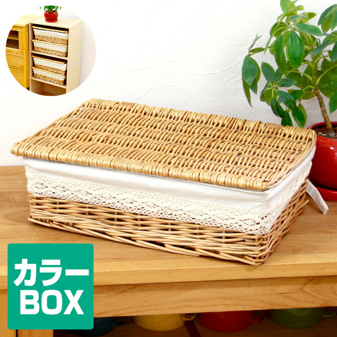 楽天市場 カラーボックス対応 ウィロー フタ付き浅型バスケット 蓋付き ふた付き ふたつき 収納かご 収納ボックス 籠 おしゃれ インナーボックス 北欧風 アジアン 小物入れ おむつ 雑貨 カラーボックス 収納ケース オムツ 蓋つき かご 収納 洗濯かご 蓋付きバスケット