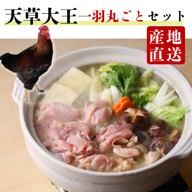 【天草大王 地鶏 鶏肉 一羽丸ごとセット】贈り物 ギフト 産地直送グルメ お取り寄せ 冷蔵 とりにく 地鶏  チキン 高タンパク 小分け 熊本  鶏肉 モモ肉 ムネ肉 ササミ 手羽先 手羽元 レバー 砂ズリ 鶏鍋 焼肉 バーベキュー 1.5kg 大容量 送料無料