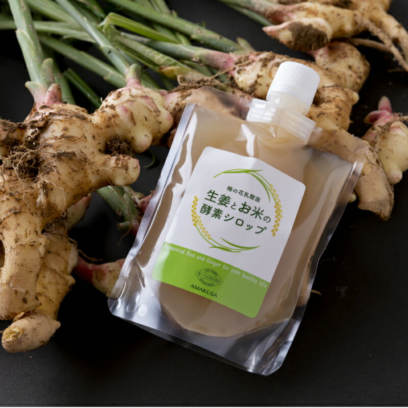 生薑とお御飯の酵素舎利別 Life Foods Department 喰う活きる大規模スーパー 熊本 天草 生姜 酵素力強さ ゼロ農薬 発酵 成り合う 美味しい 平安 熱っぽい 氷 精 値段 交代促進 米 有機 炭酸ウォーター 朝旦活 プチギフト 割振 生み出す喜び事 九州 お取り寄せ おすすめ