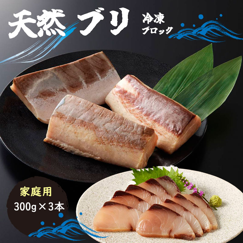 【天然ブリ冷凍鮮魚3本セット家庭用】お取り寄せ 熊本 天草 川端水産 魚 おうち時間   鰤 ぶり ブリ 刺身 ブロック  ぶりしゃぶ