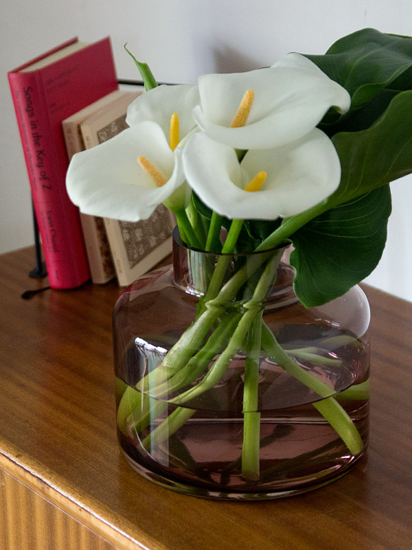 海外輸入 花瓶 ビッグガラスベース モーブ 丸型 大きめ アクシス ホームステッド Homestead Hs24 ガラス アンティーク風 ボトルベース フラワーベース 木 花 フラワー フラワーグラス ベース シンプル おしゃれ 置物 北欧 花器 インテリア雑貨 インテリア Batesmartin Com 海外輸入 花瓶 ビッグガラスベース モーブ 丸型 大きめ アクシス ホームステッド Homestead Hs24 ガラス アンティーク風 ボトルベース フラワーベース 木 花 フラワー フラワーグラス ベース シンプル おしゃれ 置物 北欧 花器 インテリア雑貨 インテリア Batesmartin Com