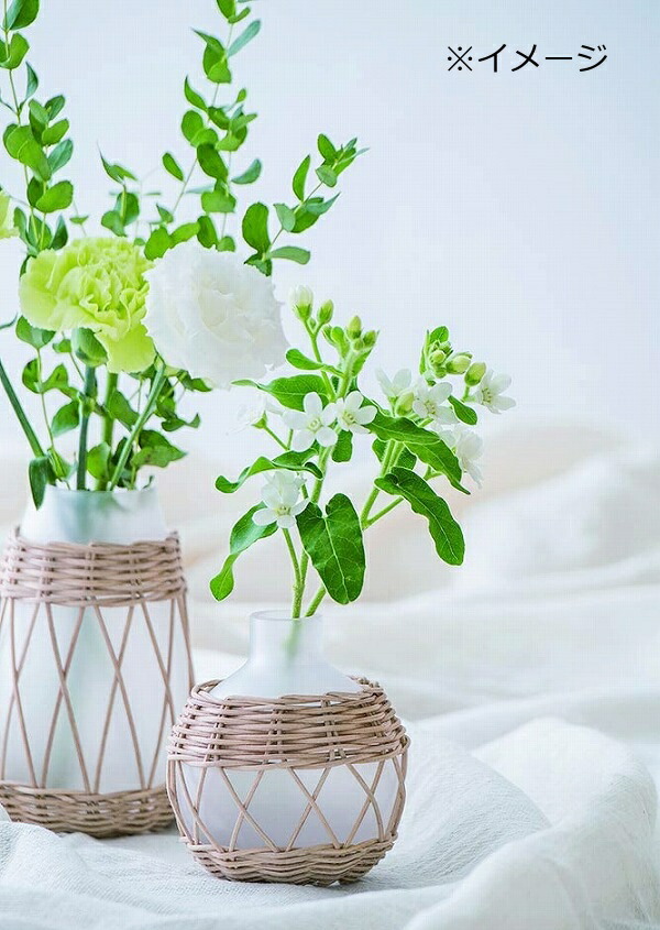 新品未使用 花瓶 ラタンフロストベース フラワーベース 一輪挿し 木 花 フラワー フラワーグラス ガラス ガラスベース シンプル おしゃれ 置物 北欧 花器 インテリア雑貨 インテリア Dentempsdfw Com