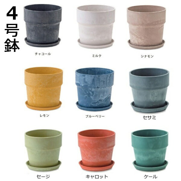 楽天市場】【特典付き】 アルミニウム ポット M ウィズ ソーサー