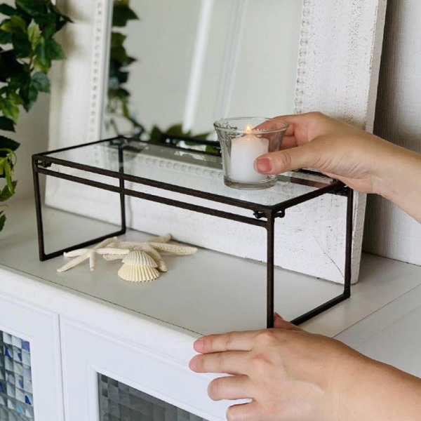 楽天市場】【特典付き】 トルソー オールドティー・ネックトルソー