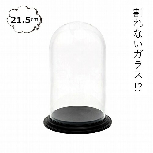 楽天市場】【特典付き】 ガラスドーム L ブラック 木製 ガラス 置き物