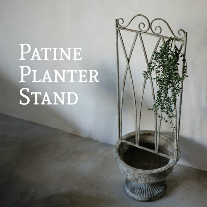 楽天市場】【特典付き】 セルリー・フラワースタンド2点セット