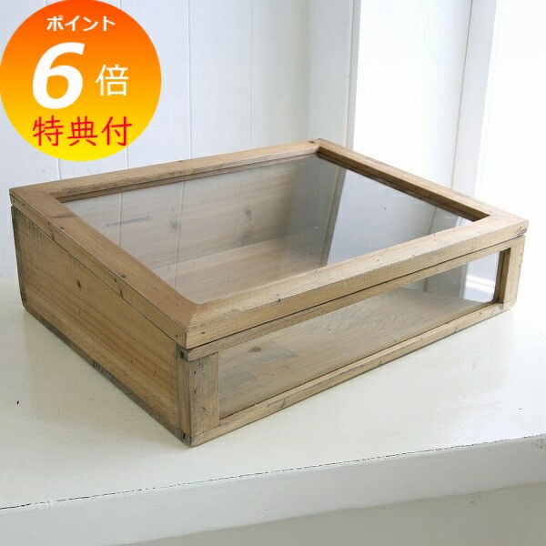 楽天市場】ショーケース 木製 ディスプレイケース コレクション