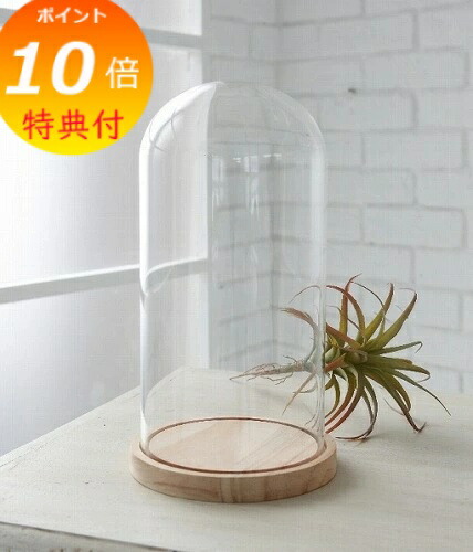 楽天市場】【特典付き】 ラスティパイン・ガラスケース L コベント