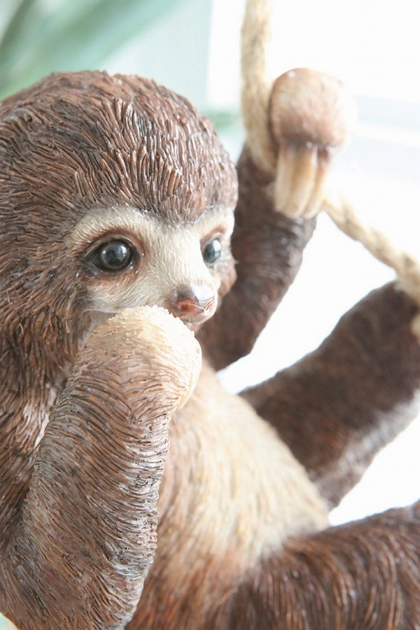 97 以上節約 ベイビー スロース なまけもの ナマケモノ アンティーク調 Ts 51 ガーデンマスコット ガーデニング 置き物 オブジェ オーナメント 動物 Wp Mespresso Com Ar