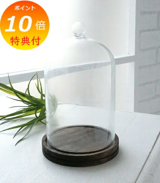 楽天市場】【特典付き】 ラスティパイン・ガラスケース L コベント