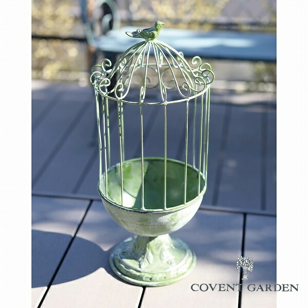 楽天市場】【特典付き 】 ポルヴィ・プランツケージ コベントガーデン