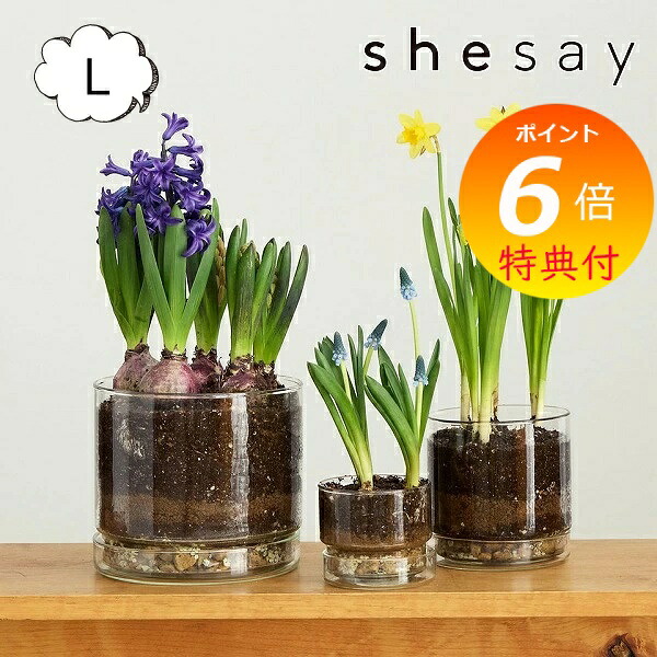 【特典付き】 植木鉢 リューズガラス プレート付き フラワーポット ストレート Lサイズ 5.5号鉢 shesay 志成販売 372311 フラワーベース/木/花/フラワー/フラワーグラス/花瓶 ガラス/ガラスベース/シンプル/おしゃれ 置物/北欧/花器/インテリア 【送料無料 ポイント10倍】
