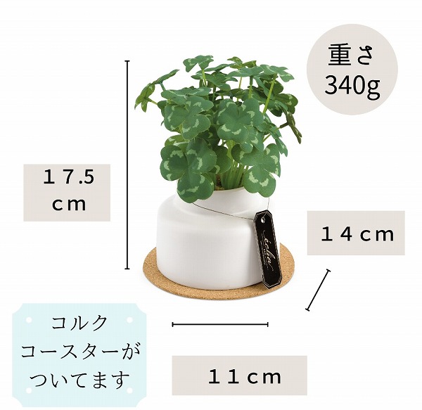 毎日続々入荷 クローバー 観葉植物 造花 インテリア Ct触媒 ミニ フェイクグリーン 葉っぱ花 アレンジ おしゃれ リアル カフェ 玄関 リビング キッチン 消臭 防汚 抗菌機能付き Zams Ma