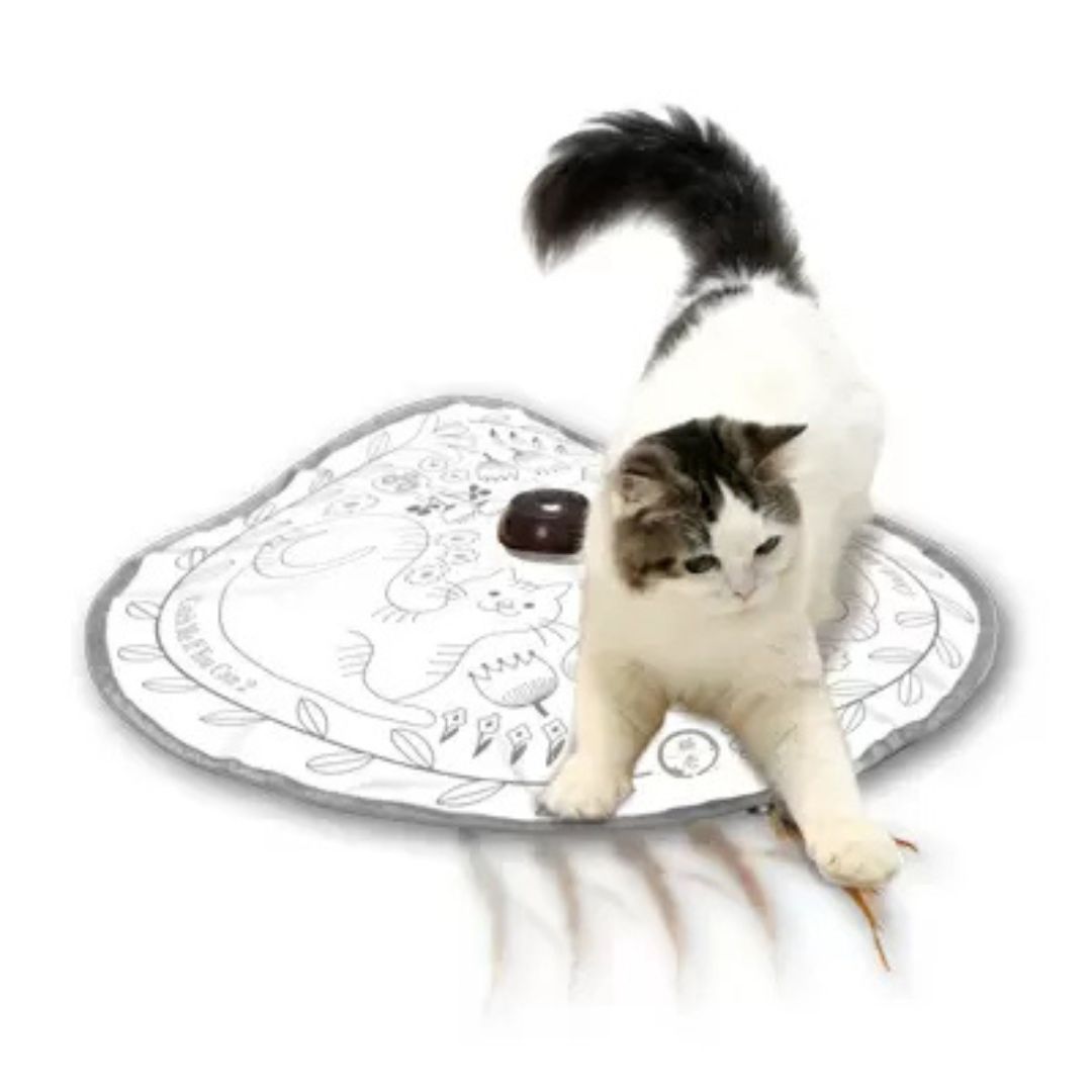 Amazon.co.jp: CVS>キャットトンネル CIAO ちゅ~る 世界の猫を