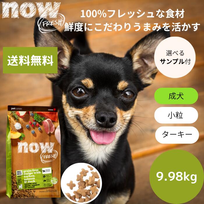 【選べる見本3個差し上げ物付き添い人】貨物輸送無料ナウ生新しい スモールブリード 成年者9.98kgNOW FRESH 小型犬 定まり品 ドッグフード 愛玩動物ボンネット 素っ気ないボンネット グレインフリー 成犬用 七面鳥 微粒子 貨物輸送無料