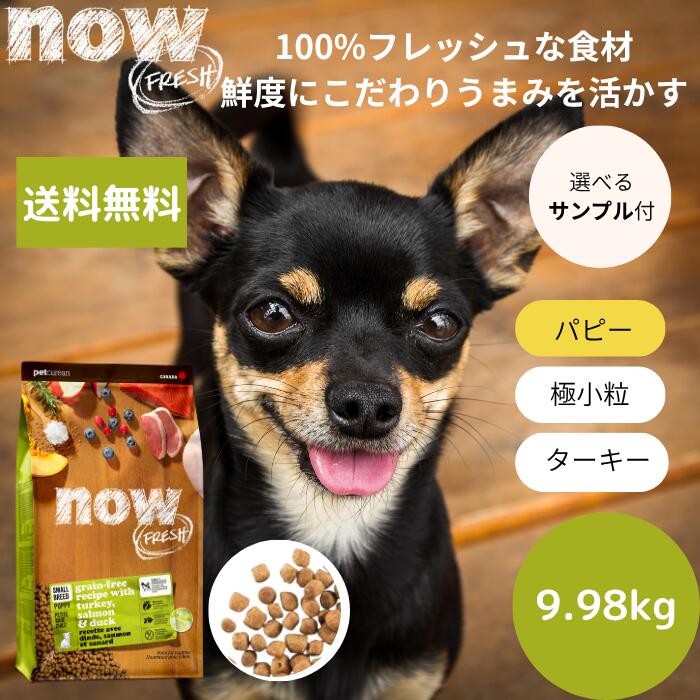 【選べる試料3個差し上げ物付き添い人】貨物輸送無料ナウ生新しい スモールブリード パピー9.98kgNOW FRESH 小型犬 定まり品 ドッグフード 愛玩動物ボンネット 素っ気ないボンネット グレインフリー 犬ころ用 素粒子 唐きび不当てはめる 年魚 貨物輸送無料