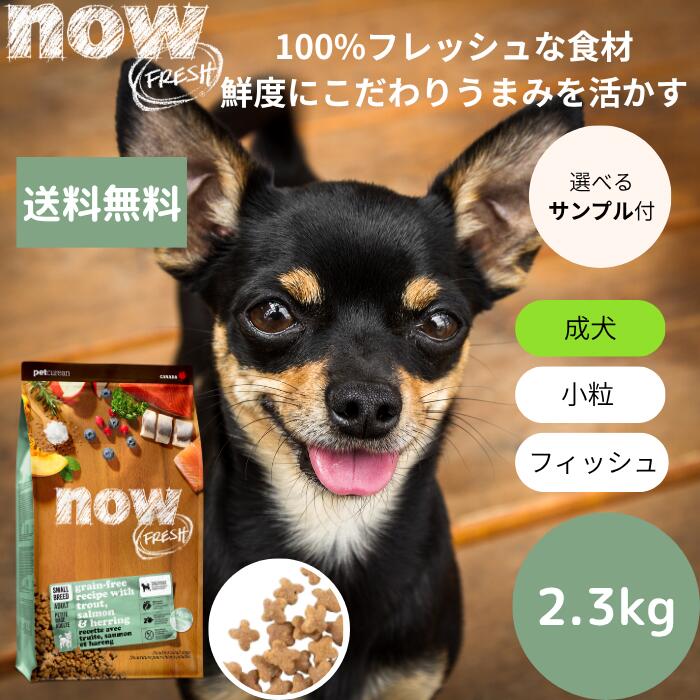 楽天市場】【選べるサンプル3個プレゼント付き】NOW FRESHナウ