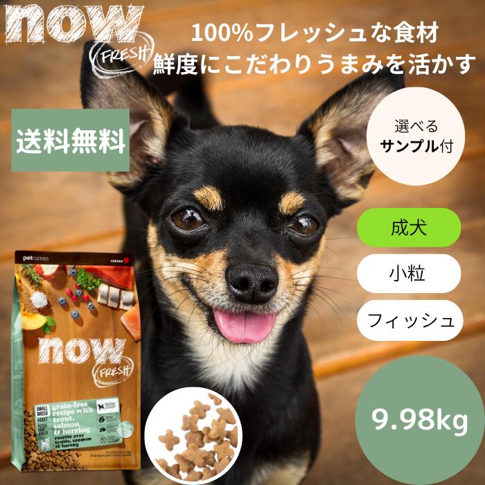 【選べる試料3個差し上げ物付き添い人】ナウ生新しい スモールブリード フィッシュアダルト9.98kgNOW FRESH 小型犬 定まり品 ドッグフード 愛玩動物ボンネット 素っ気ないボンネット グレインフリー 成犬用 自然的 素粒子 魚 貨物輸送無料
