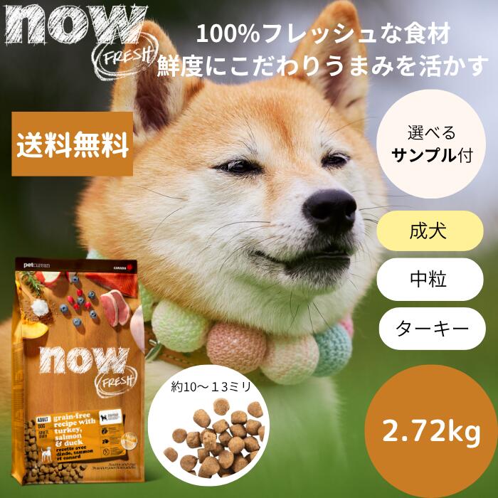【選べる標本3個差し上げ物付き添い人】NOW FRESHナウ生新しい 成年者2.72kgNOW FRESH 成犬 置き目品 ドッグフード 愛玩動物ボンネット 素っ気ないボンネット グレインフリー 中粒 禾穀類不当て嵌める 家鴨 貨物輸送無料 中型犬 大型犬 貨物輸送無料
