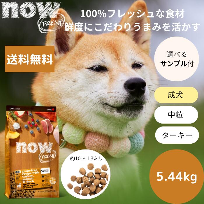 【選べるサンプル3個プレゼント付き】 送料無料 NOW FRESHナウフレッシュ アダルト5.44kg NOW FRESH 成犬 正規品 ドッグフード ペットフード ドライフード グレインフリー　中粒 穀物不使用 送料無料 中型犬 大型犬 送料無料