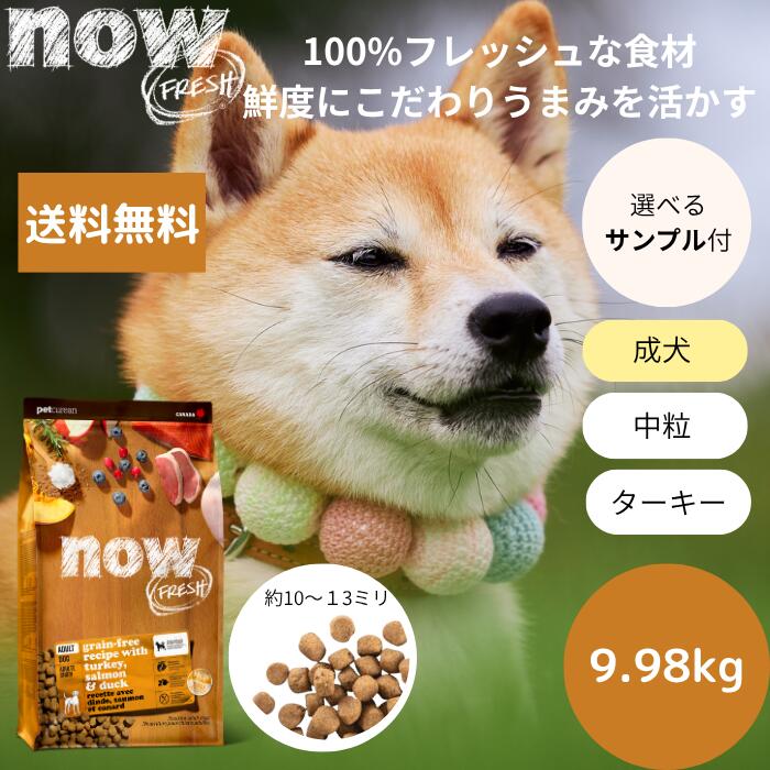 【選べるサンプル3個プレゼント付き】送料無料NOW FRESHナウフレッシュ アダルト9.98kgNOW FRESH 成犬 正規品 ドッグフード ペットフード ドライフード グレインフリー 中粒 穀物不使用 ダック 送料無料 中型犬 大型犬 送料無料|マーキュリードッグ