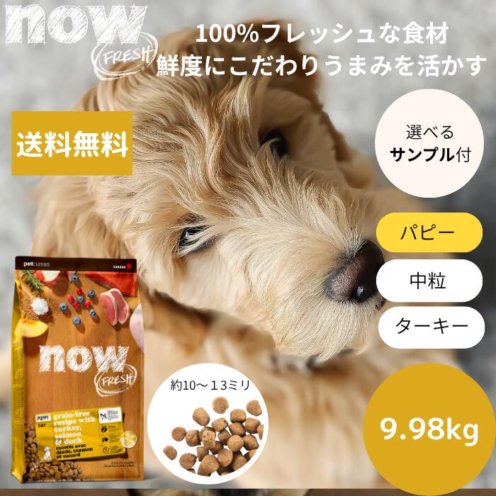 【選べる見本3個差し上げ物付き添い人】貨物輸送無料NOW FRESHナウ生新しい パピー9.98kgNOW FRESH 犬ころ 定め事品 ドッグフード 愛玩動物ボンネット 素っ気ないボンネット グレインフリー 中粒 禾穀類不当て嵌める 合鴨 貨物輸送無料 中型犬 大型犬