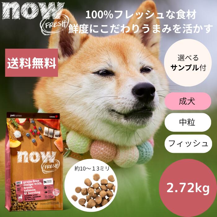 【選べる標本3個差し上げ物付き添い人】NOW FRESHナウ生新しい フィッシュアダルト2.72kgNOW FRESH 成犬 年魚 置き目品 ドッグフード 愛玩動物ボンネット 素っ気ないボンネット グレインフリー 中粒 魚 禾穀類不当て嵌める  貨物輸送無料 中型犬 大型犬 貨物輸送無料 低アレルギー反応