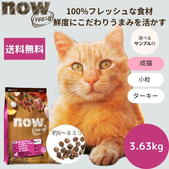 ナウフレッシュ グレインフリー アダルトキャット 3.63kg 猫