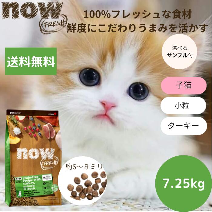 【選べるサンプル3個プレゼント付き】 ナウフレッシュ キトン7.25kg NOW FRESH 子猫 正規品 キャットフード ペットフード ドライフード グレインフリー穀物不使用 高栄養 仔猫 食いつく 送料無料