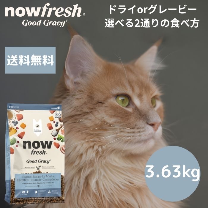 【選べるサンプル3個プレゼント付き】ナウフレッシュ グッドグレービーアダルトキャットサーモンレシピ3.63kgNOW FRESH 成猫 サーモン 正規品 キャットフード ペットフード ドライフード グレインフリー 穀物不使用 食いつく ターキー 魚 低アレルギー｜マーキュリードッグ