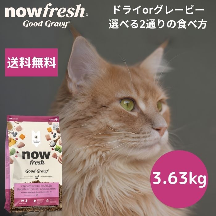 【選べるサンプル3個プレゼント付き】ナウフレッシュ グッドグレービーアダルトキャットチキンレシピ3.63kgNOW FRESH 成猫 チキン 正規品 キャットフード ペットフード ドライフード グレインフリー 穀物不使用 食いつく ターキー｜マーキュリードッグ 10,868円