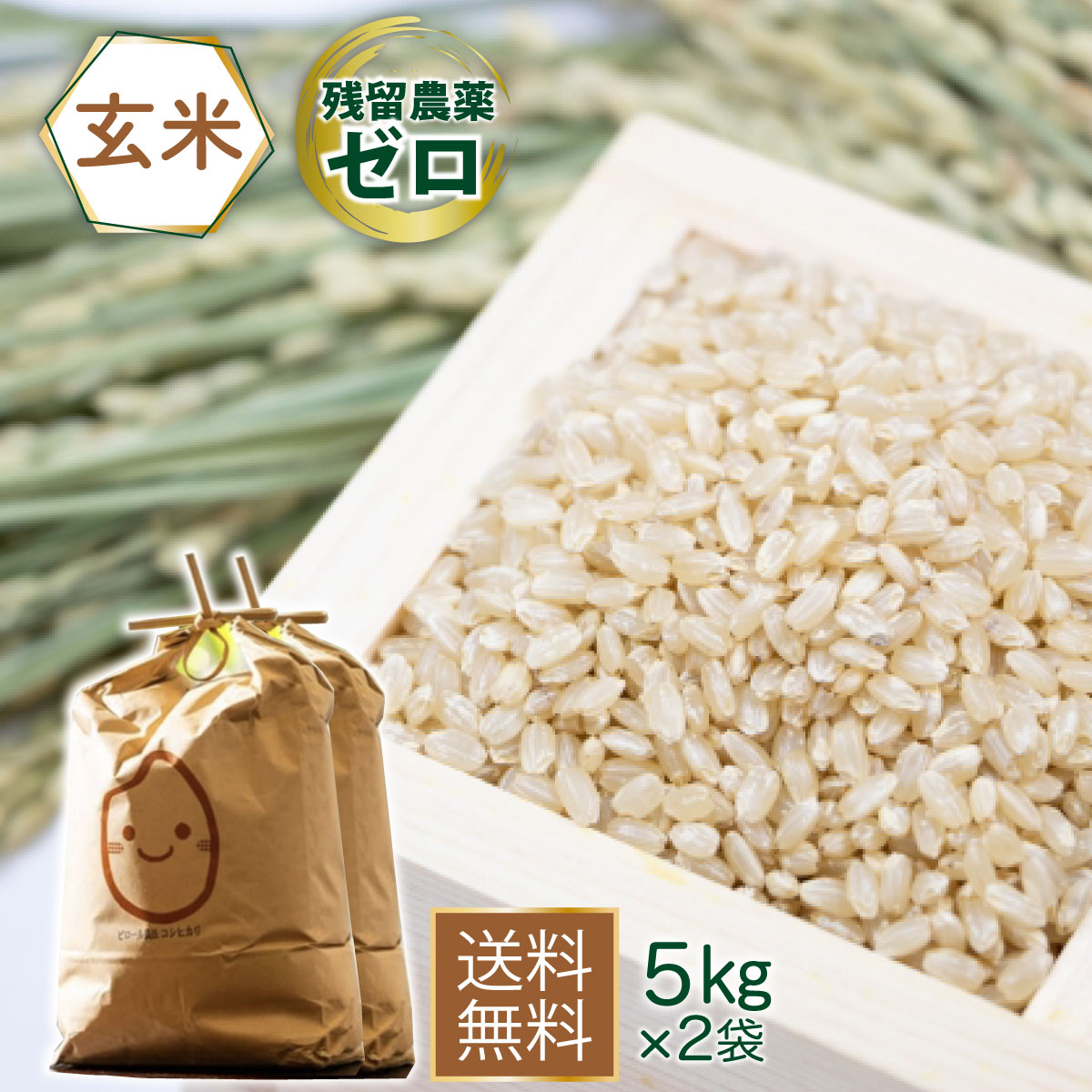 アレルギー特定原材料不使用 玄米 ピロール米 5kg 2袋セット 送料無料 残留農薬不検出 弱アルカリ性 菌活 国産 ビタミンB12含有 100%植物性 腸活 ヘルシー 贈り物 ギフト 美味しい 健康米 自然農法 検査済み 徹底管理 美味しい 健康米 検査済み 徹底管理 米糠 お中元 お歳暮|MERCY Vegan Factory 店