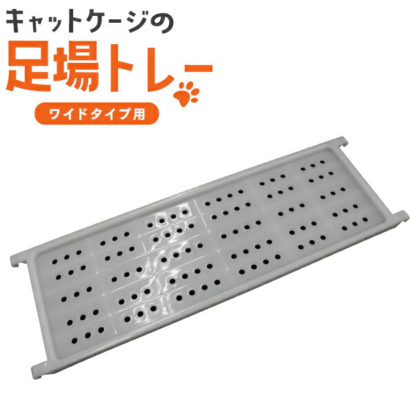 centex 猫＆西表山猫＆ラッコの赤ちゃん　中古品 シンガプーラの子猫販売 ブリーダーの出産情報 子猫専門ペット
