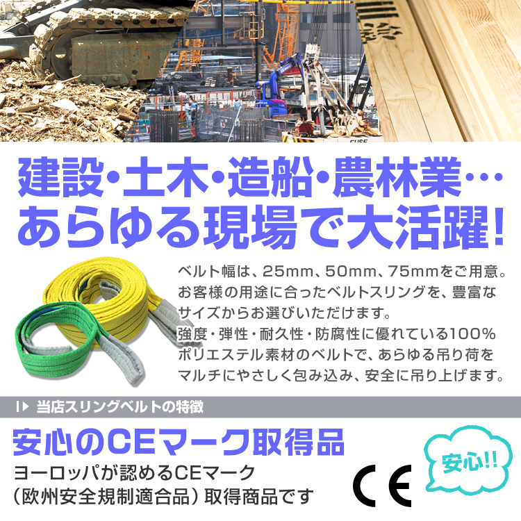 最適な価格 スリングベルト 2m 幅50mm 使用荷重2000kg 玉掛け ナイロンスリング 2t 高品質 ベルトスリング ナイロンスリングベルト 繊維ベルト  吊ベルト 荷吊りベルト ロープ 牽引 クレーンロープ クレーンベルト 運搬 fucoa.cl