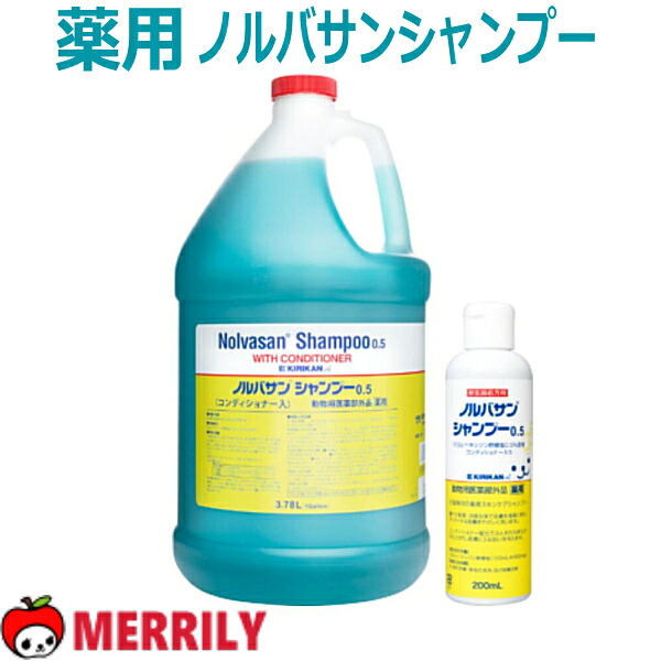 熱い夏を好いたらしいに過ごすグッズ