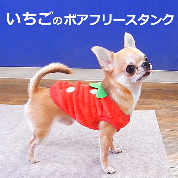 楽天市場】いちご刺繍デニムジャケット ドッグウエア 小型犬 犬服