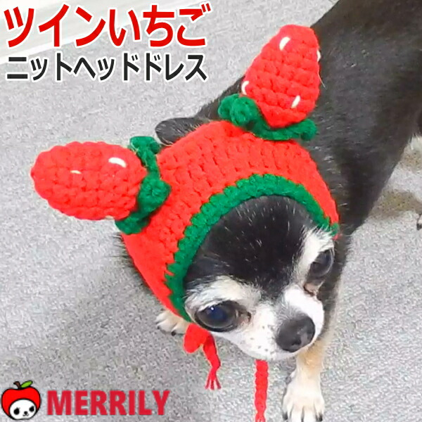 楽天市場】いちご刺繍デニムジャケット ドッグウエア 小型犬 犬服