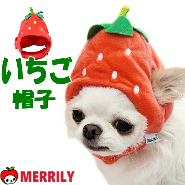 楽天市場】犬の服 いちごタンクトップ 犬 犬服 春 夏 Tシャツ タンク